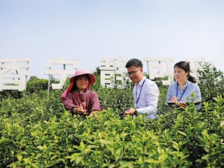 區紀委監委立足監督職責 有力監督護航鄉村振興